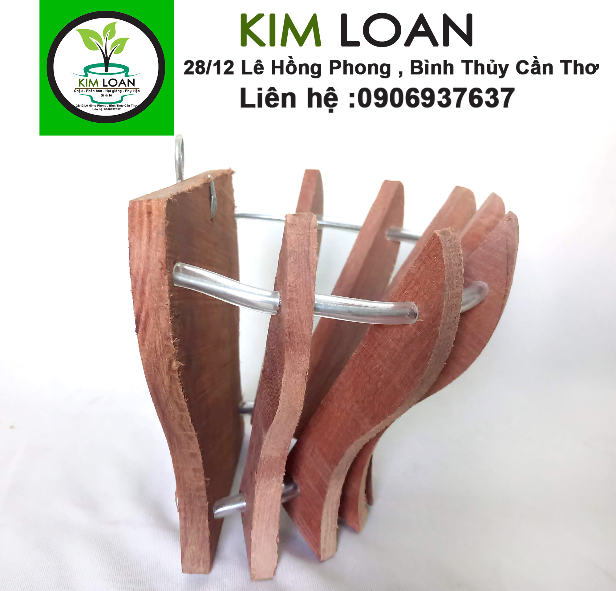 Chậu lan gỗ ốp tường 18x11x12cm