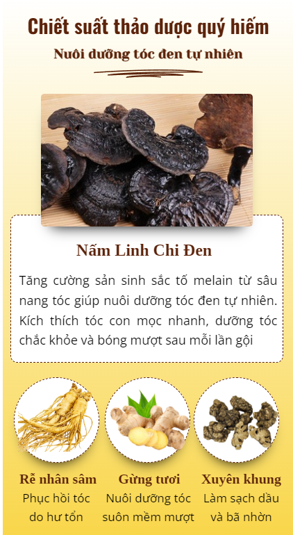 Dầu gội cao phủ bạc linh chi đen