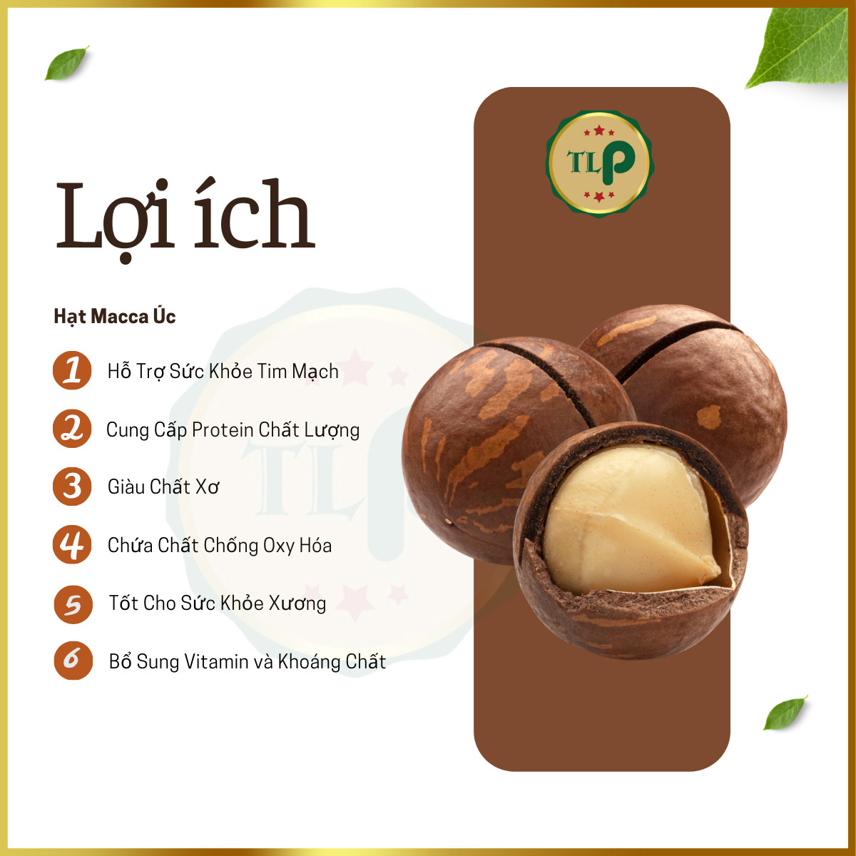 Tan Loc Phat Cracked Macadamia Nuts, 500g Bag