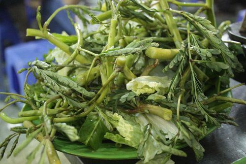 Hạt giống rau rút (rau nhút)