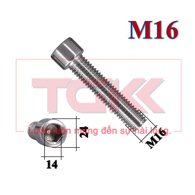 Bulong LGC đầu trụ inox 201 M16