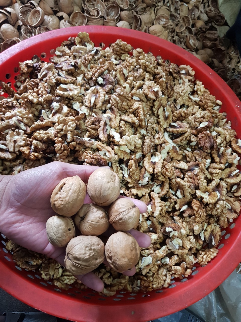 Nhân óc chó nhập Mỹ 500Gr (Làm sữa, làm bánh, ăn liền)