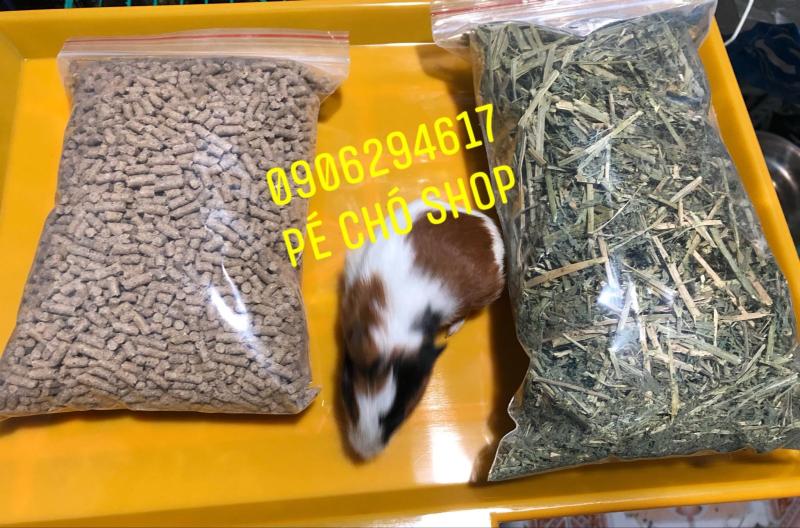 Combo Cỏ Alfalfa khô + Bịch Cám dinh dưỡng cho thỏ,bọ ú .