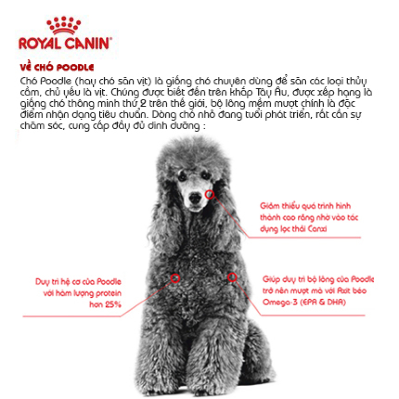 Hạt Royal Canin Poodle Adult Cho Chó Poodle Trưởng Thành|Thức ăn vặt cho chó|Thức ăn hạt cho chó|Thức ăn cho thú cưng|Thức ăn vặt cho thú cưng|snack cho chó|thức ăn cho chó|đồ ăn chó|thức ăn cho chó con|thức ăn hạt cho chó trưởng thành