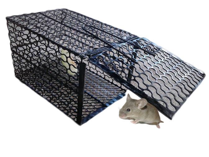 Lồng bẫy chuột cực nhạy