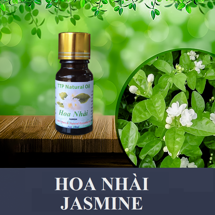Tinh dầu hoa nhài Jasmine - 10ml