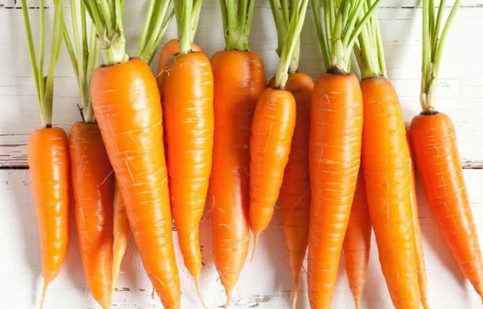 Hạt giống cà rốt đỏ củ to (2gram)