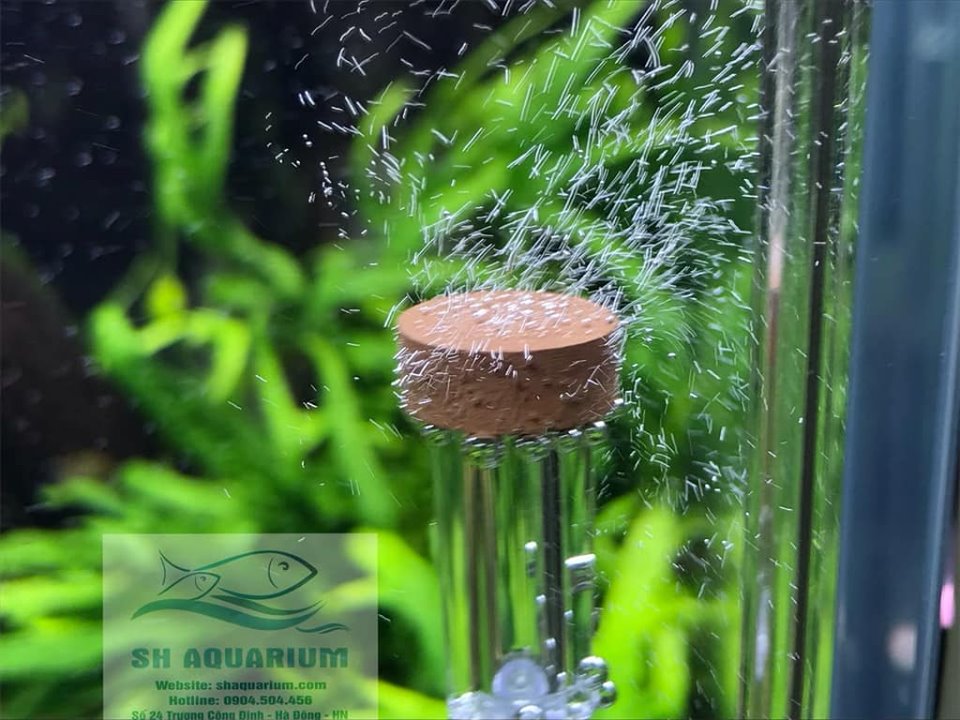 [HOÀN TIỀN 10%]SỦI CO2 SIÊU MỊN NEO S ORIGINAL