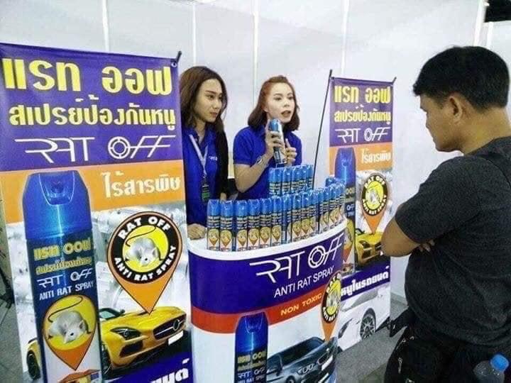 Chai XỊT ĐUỔI CHUỘT -- Thái Lan