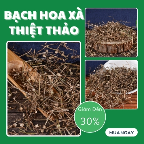 [HOT] Bạch hoa xà thiệt thảo túi nhỏ 250g - Hàng công ty chất lượng cao chuyên dùng để pha trà