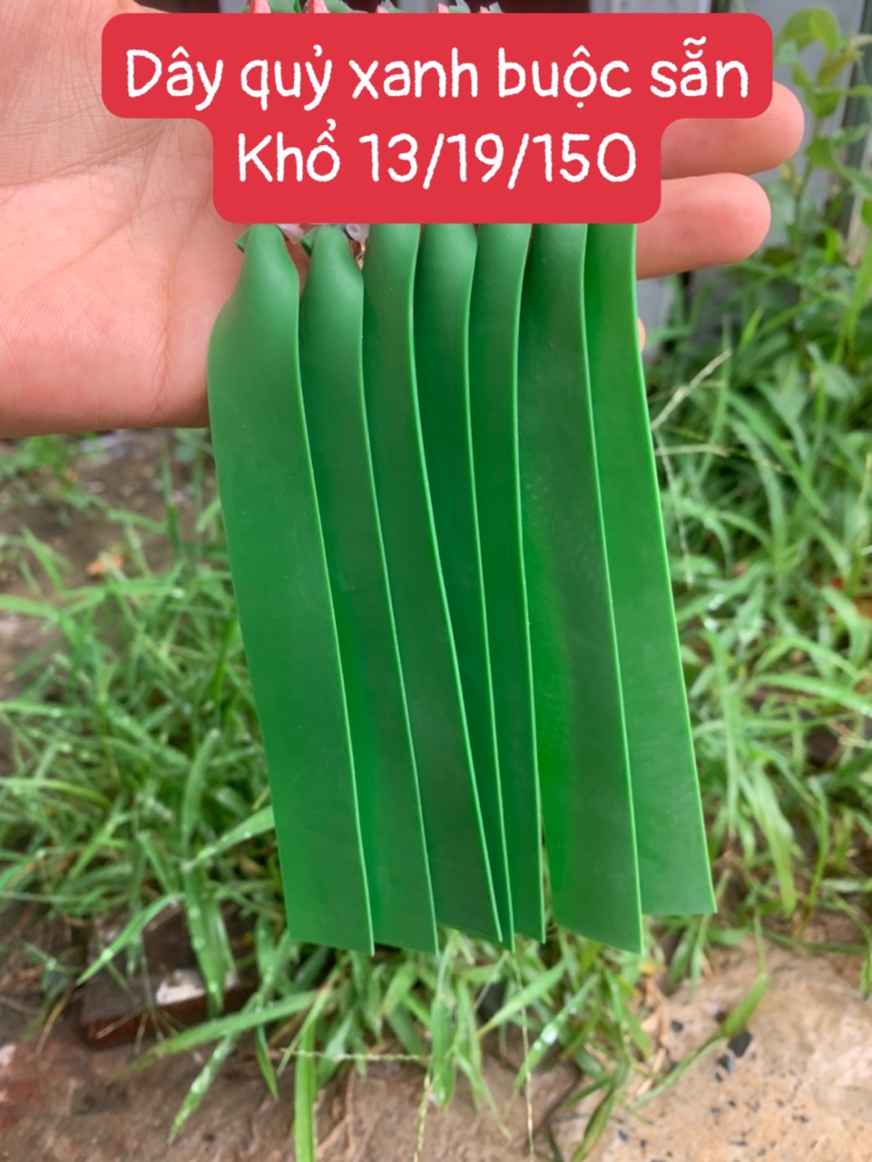 DÂY THUN QUỶ XANH BUỘC SẴN