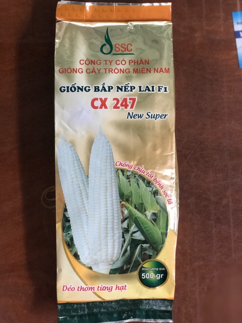 Hạt giống bắp nếp lai f1 cx 247 gói 500g