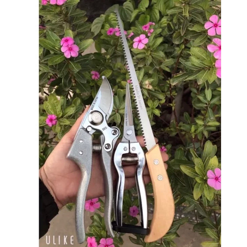 bộ 3 món cắt tỉa cây , làm vườn mã KAS