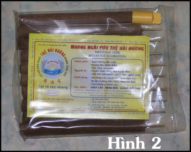 Nhang Ngải Cứu gói 10 cây