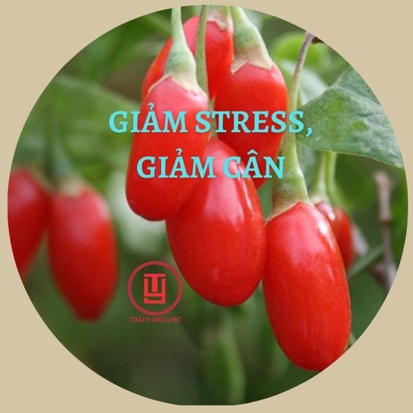 Kỷ Tử Ninh Hạ 100 Gram (Câu Kỷ Tử)