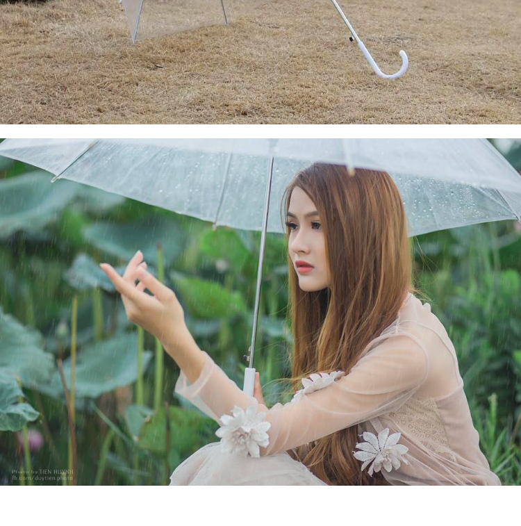 Ô Dù đi Mưa Trong Suốt Nhật Bản
