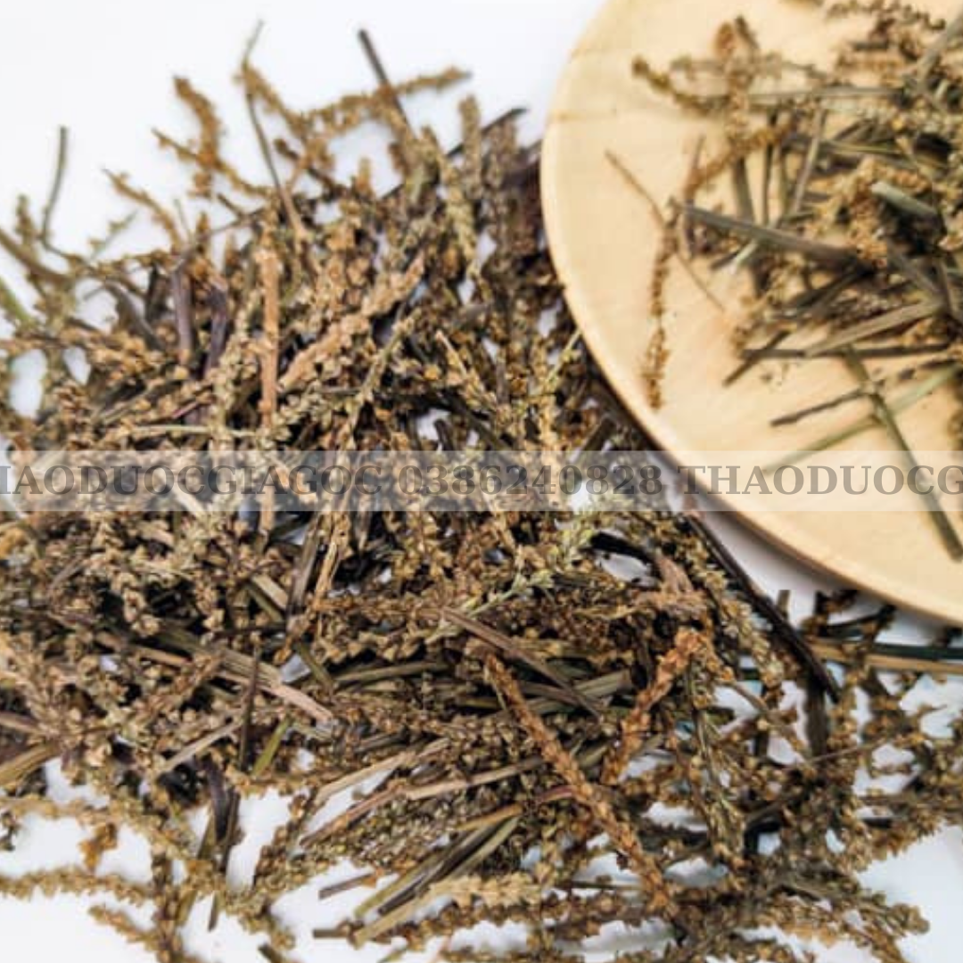 1kg Bông Mã Đề khô hàng loại 1