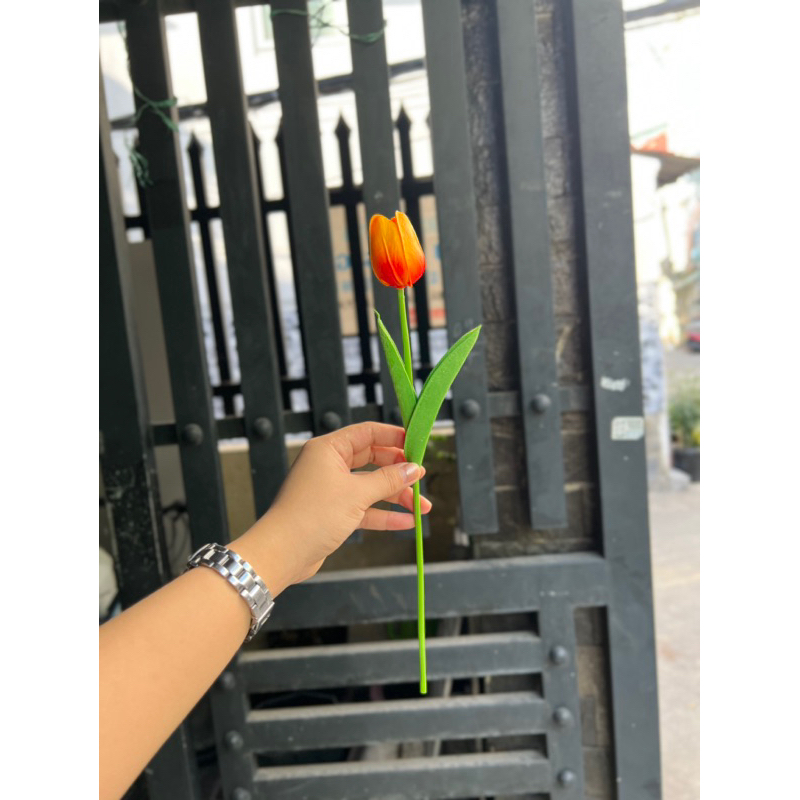 HOA TULIP cao su non mini