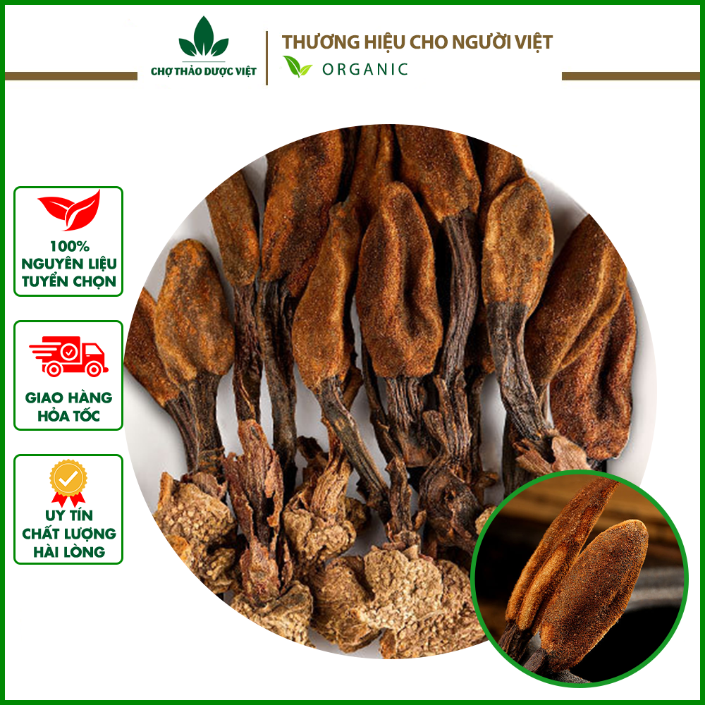 100gr Nấm Ngọc Cẩu Nguyên Búp|Khô, Thơm, Đẹp