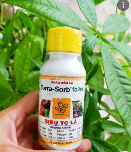 Phân bón terra sorb foliar – siêu to lá lọ100ml
