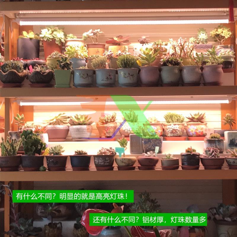 Led grow lights T6 0.6m