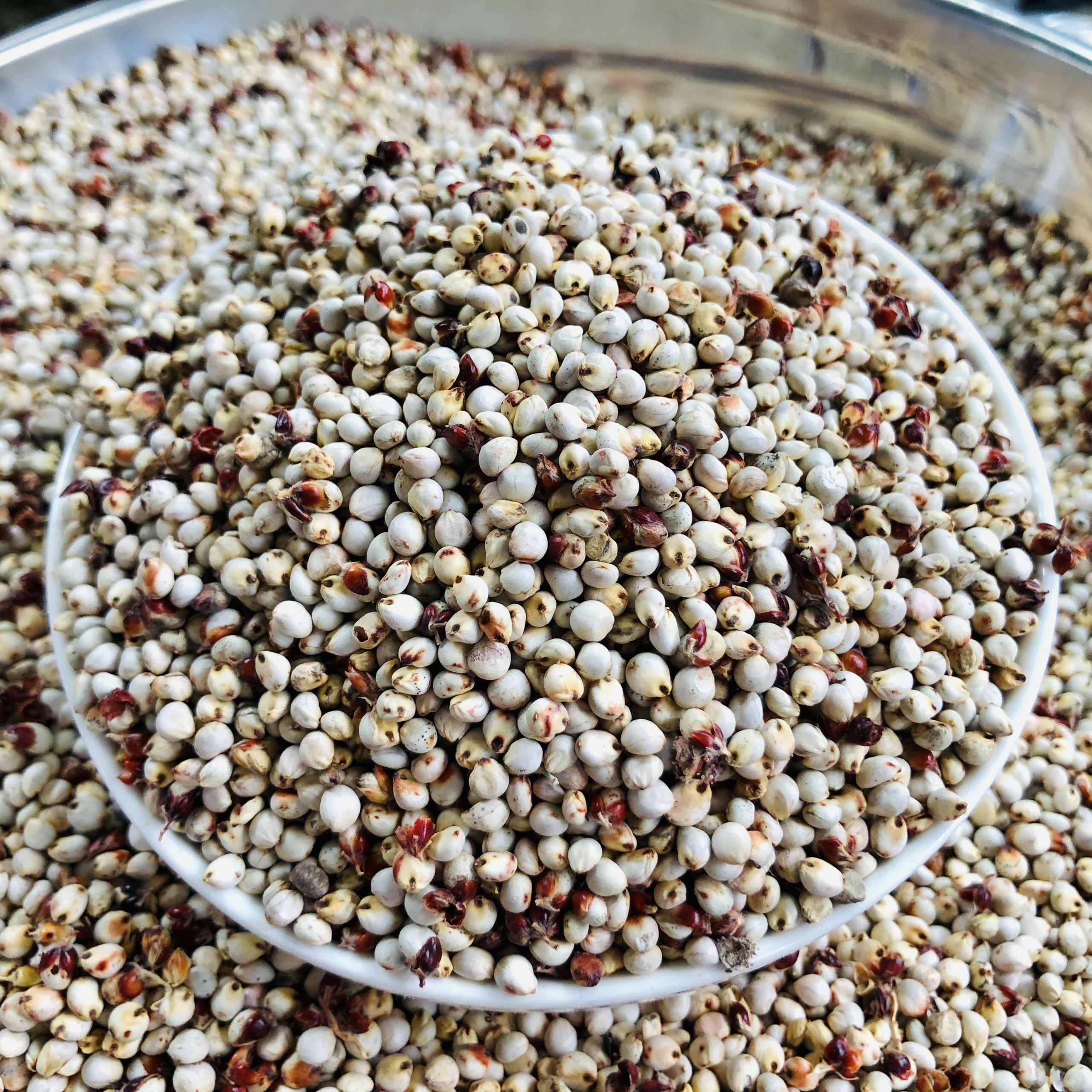 1Kg hạt Bobo trắng , Ý Dĩ ( thức ăn yêu thích của gà đá, chim cảnh )