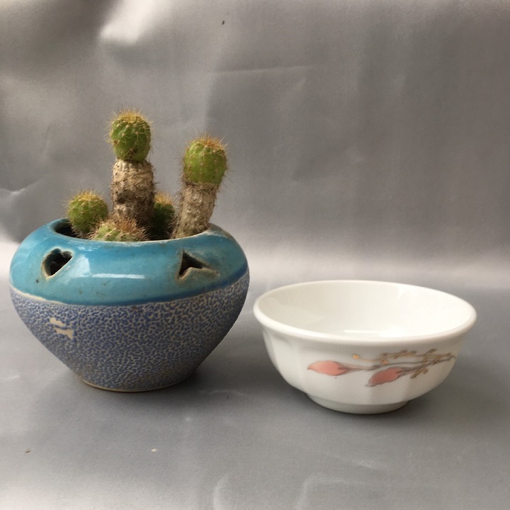 Chén Tương Hoa 1012 Sứ Chuan Kuo Cao Cấp