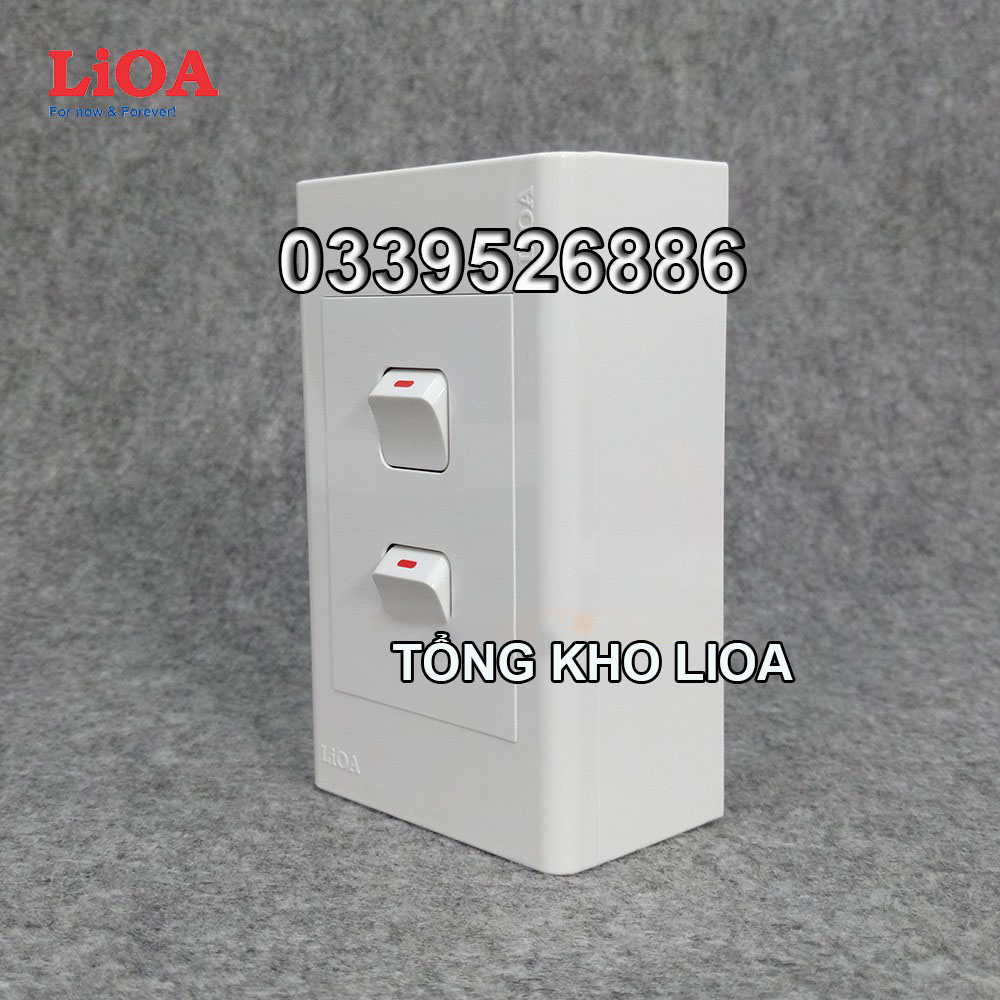 Combo 2 công tắc điện 1 chiều + mặt lỗ vuông LiOA - Lắp nổi