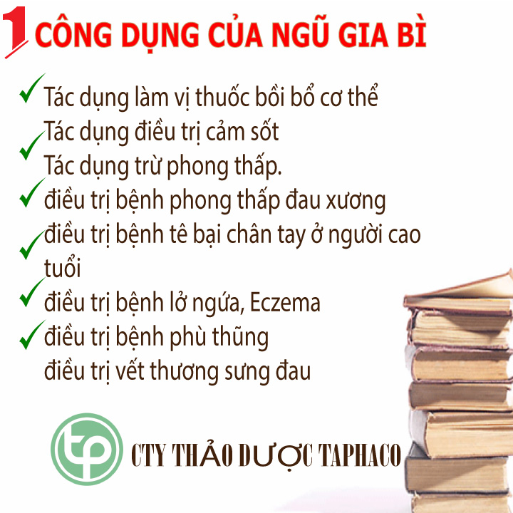 Vỏ ngũ gia bì khô 100g - Tấn Phát