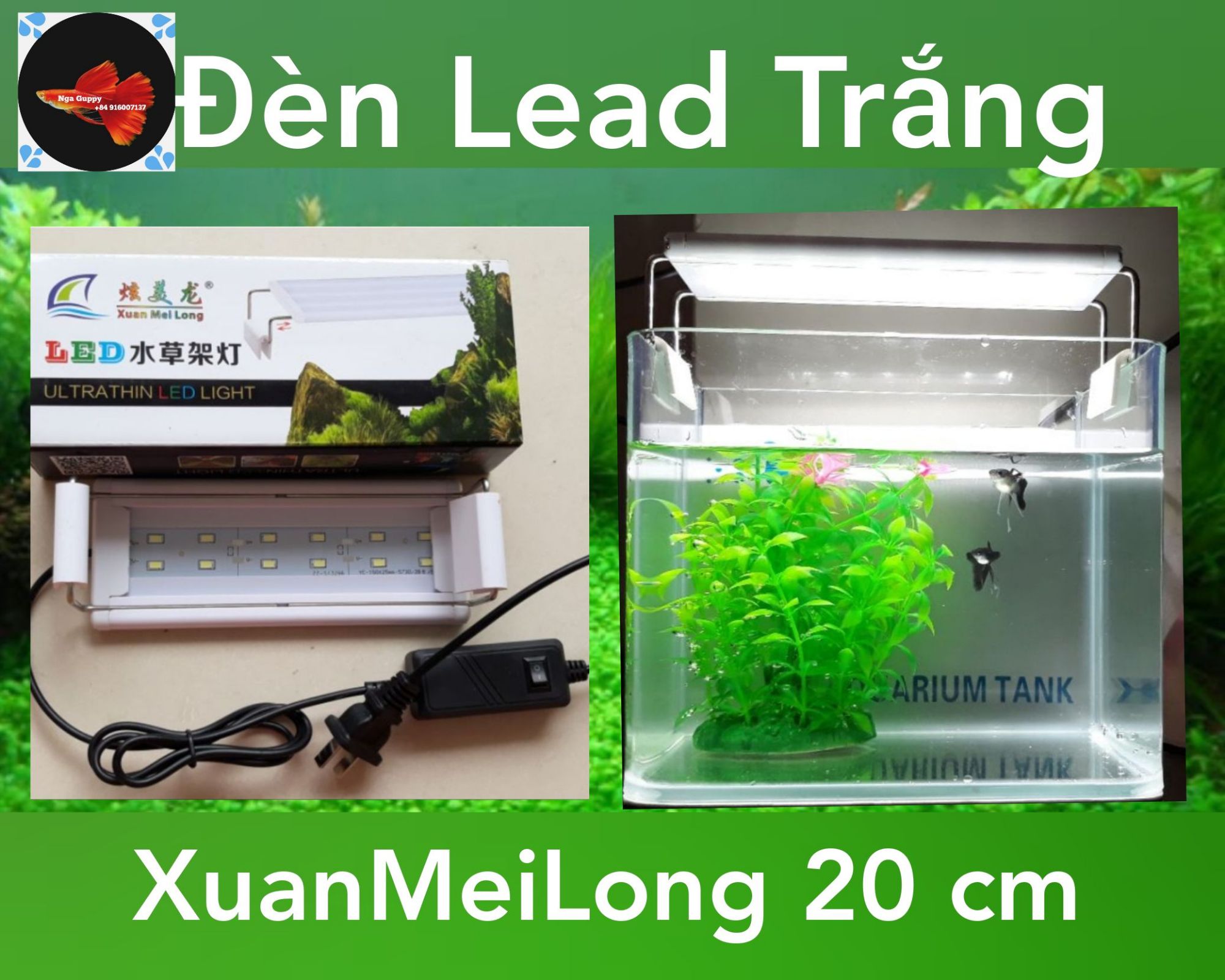 [HCM]Đèn Led Xuan Mei Long cho hồ cá