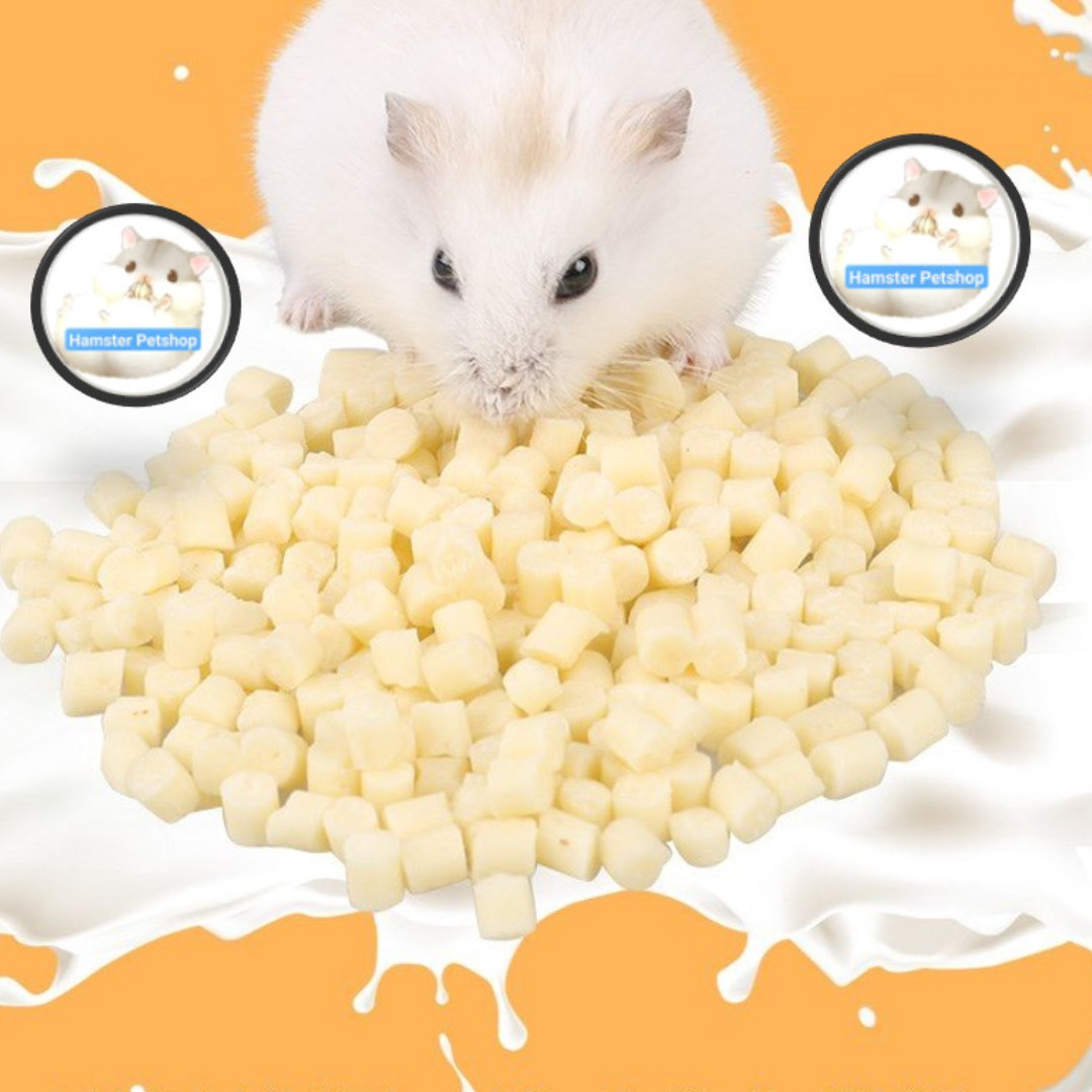 Phô mai cheese cho hamster , thỏ , bọ , sóc
