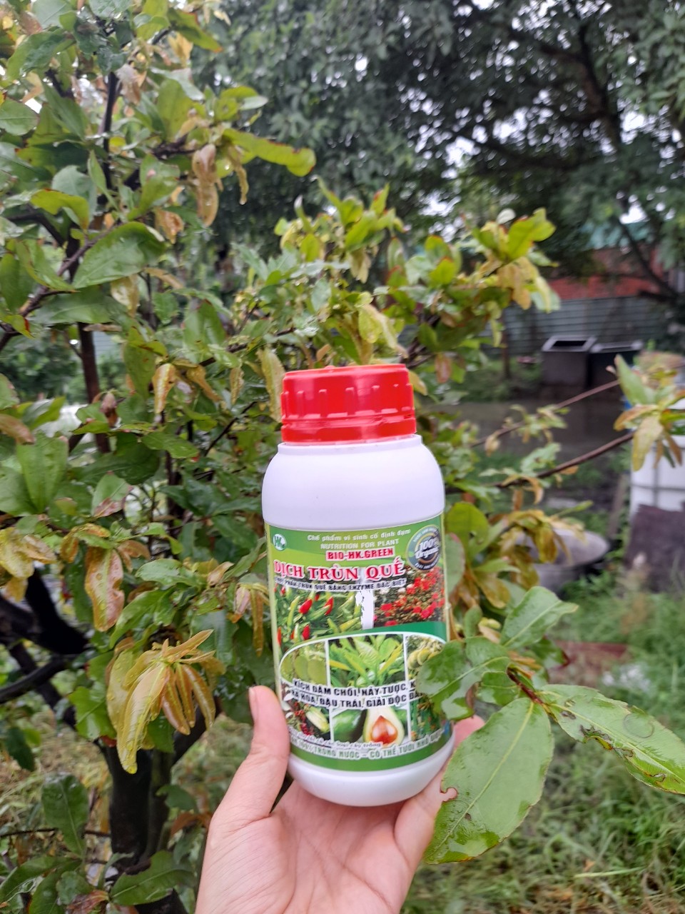 PHÂN BÓN LÁ TRÙN QUẾ HUMiC BIO-HK.GREEN. CHAI 500ml.