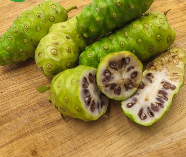 1kg quả nhàu rừng