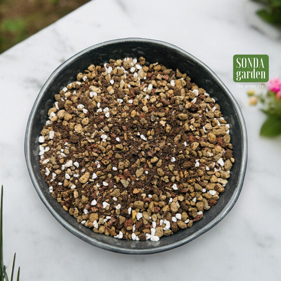Đất trồng sen đá xương rồng (1kg)
