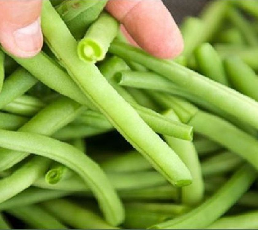 " Gói 50Gram "Hạt giống đậu cove bụi(cove lùn cove ngồi) [Seeds]