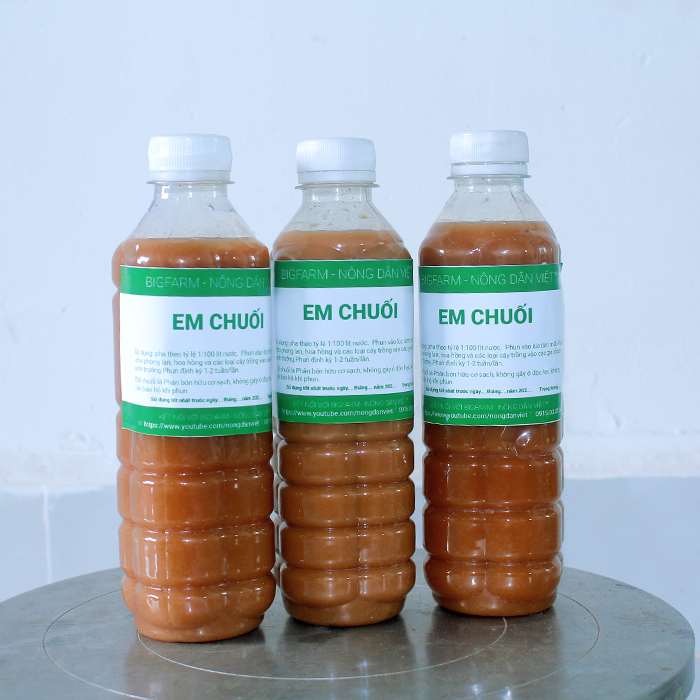 Combo 3 chai chế phẩm vi sinh dịch chuối lên men 500ml kích thích hoa hồng đâm chồi, ra hoa