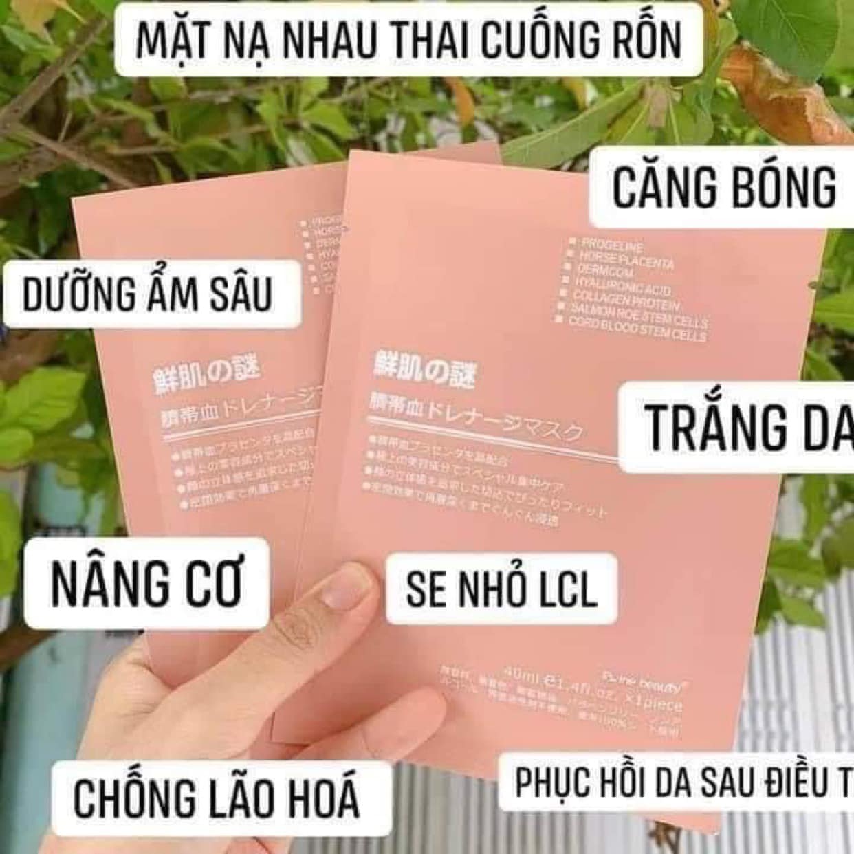 Combo 10 miếng mặt nạ nhau thai cừu