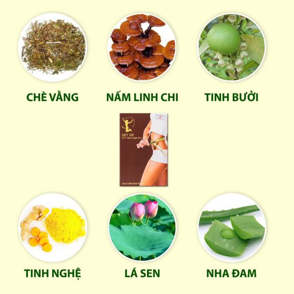 [HCM]VIÊN NANG GIẢM CÂN DIET VIP (HÀNG CÔNG TY)