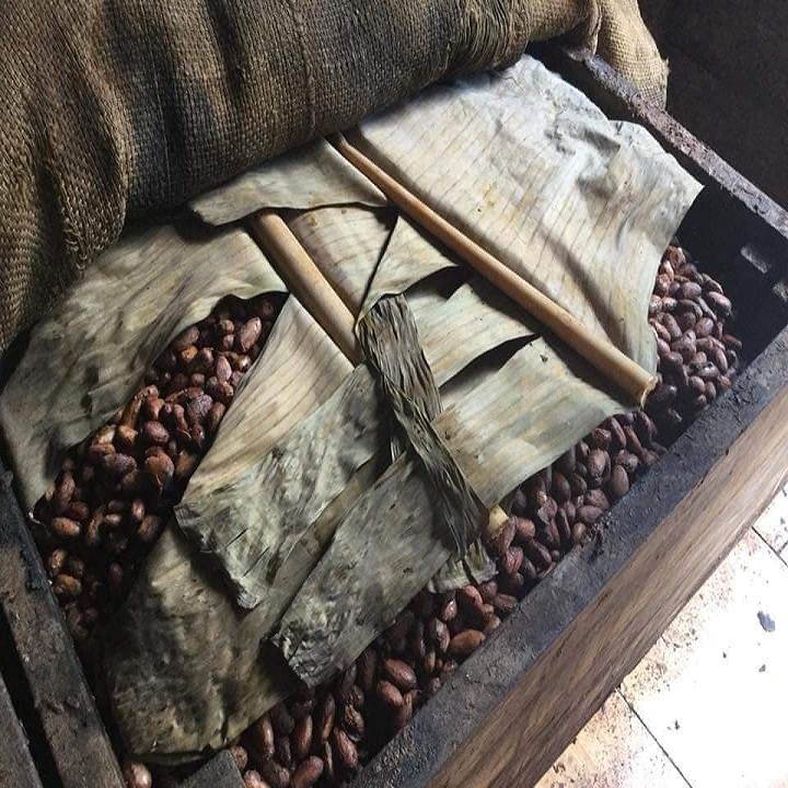 CACAO NGUYÊN CHẤT ĐAKLAK 500g