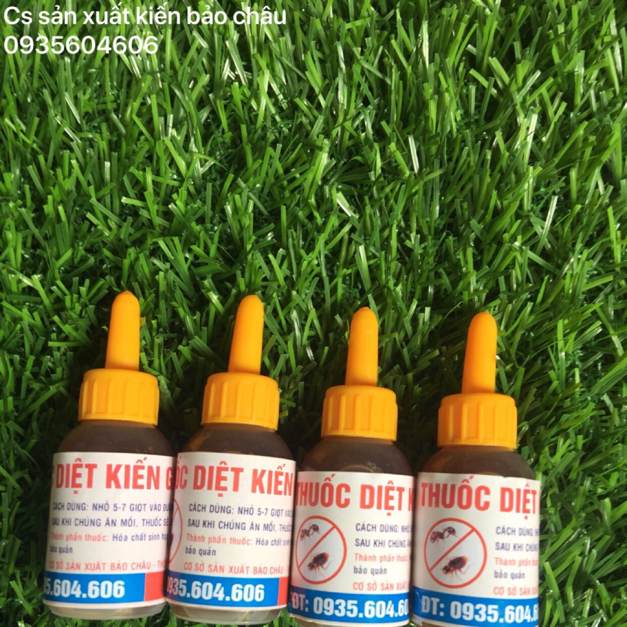 Thuốc diệt kiến sinh học combo 4 chai