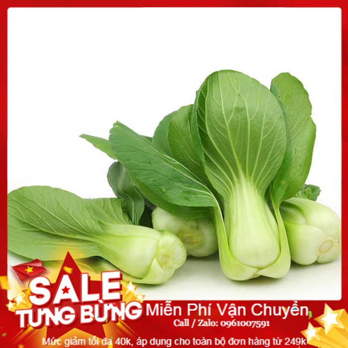 Hạt giống cải chíp - 100 hạt