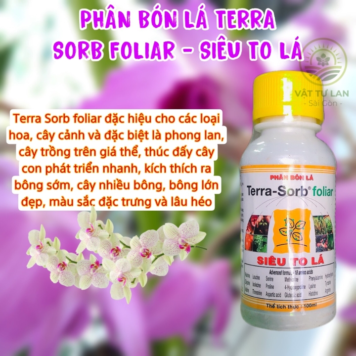 Terra sorb Siêu to lá chai 100ml