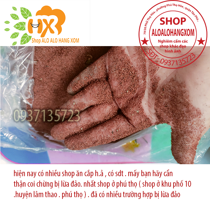 hạt giống cây tràm úc - 500 gram