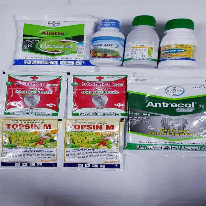 [HCM]COMBO PHÒNG TRỪ NẤM BỆNH VI KHUẨN CHO LAN