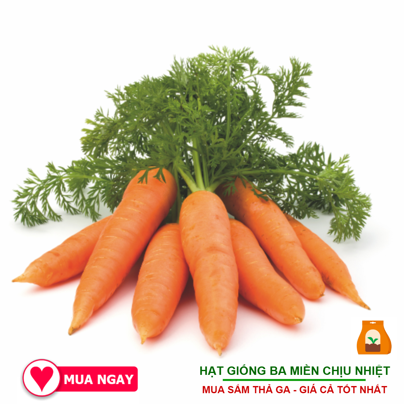 Hạt Giống Cà Rốt Baby, Thịt Củ Chắc 20 Gram