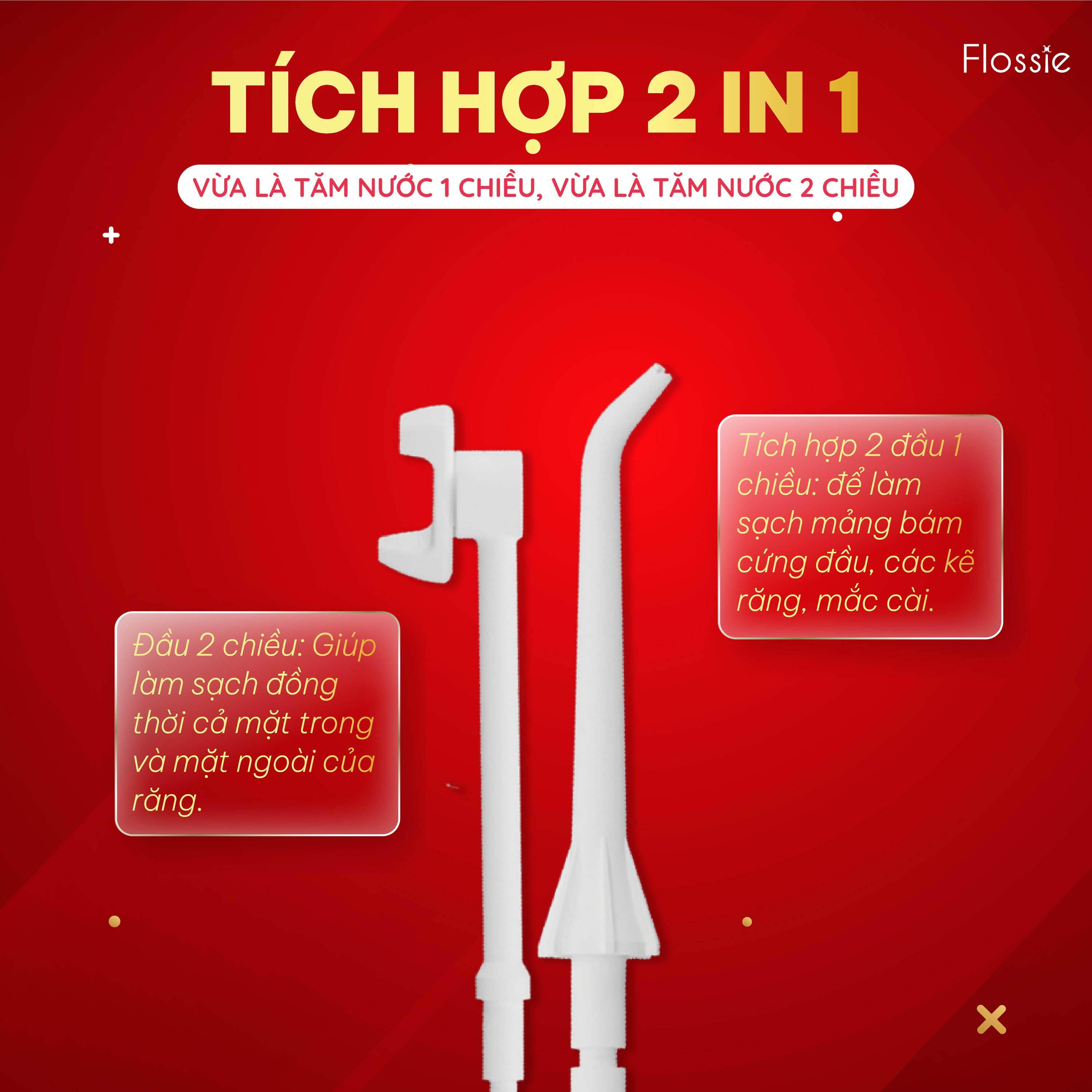 Combo 2 đầu tăm nước 2 chiều dùng cho Tăm nước Flossie