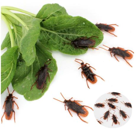 [COMBO 3 Con] Đồ chơi con gián độc đáo - Đồ chơi mô phỏng động vật cho bé