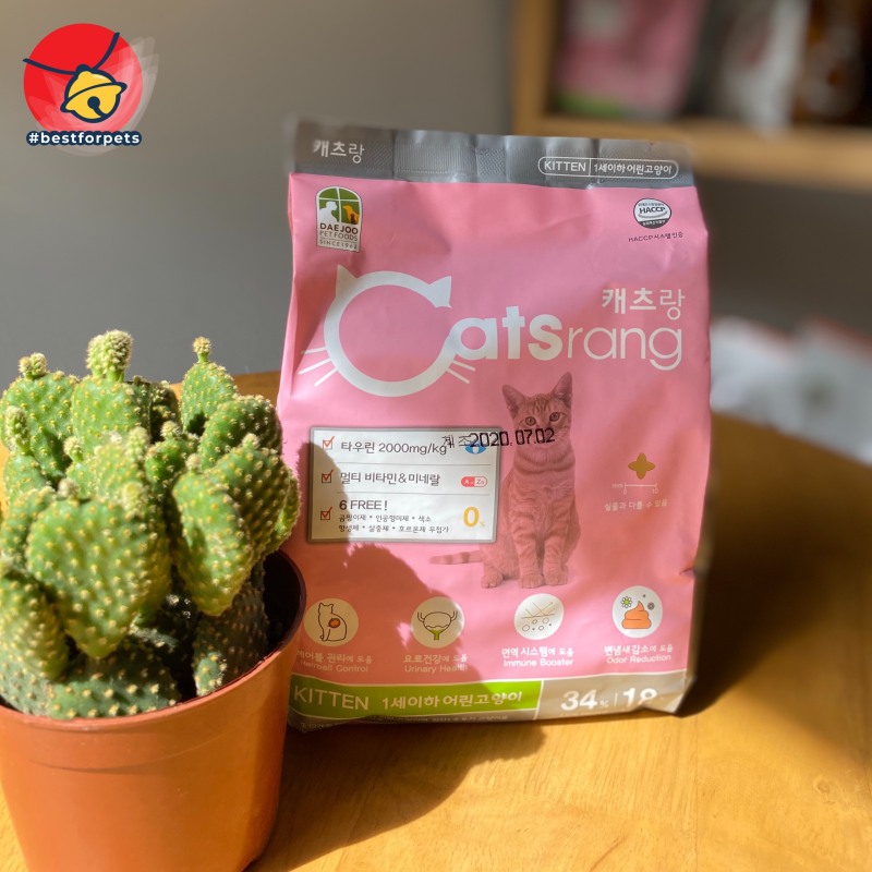 Thức ăn cho mèo con Catsrang Kitten