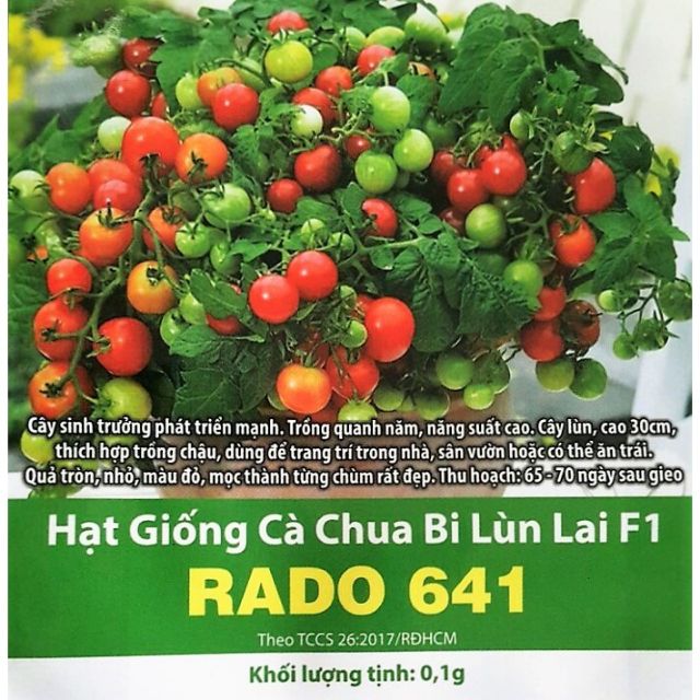 Hạt giống cà chua bi lùn đỏ Rado 641