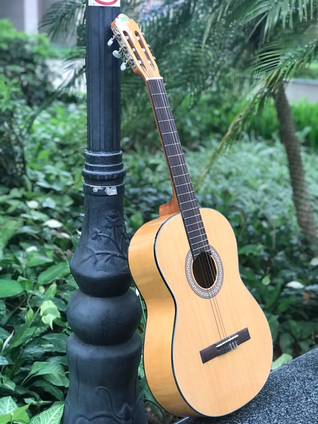 Đàn guitar classic Rex